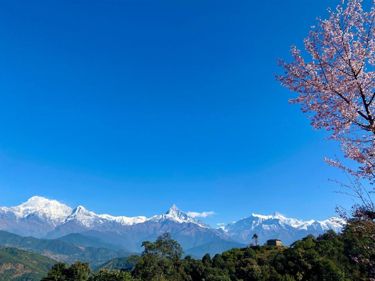 Superview Lodge, Best Himalayan Sunrise In Sarangkot Pokhara Exterior photo